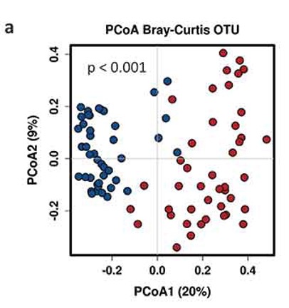 Example from: García-Mantrana et al., Gut Microbes 2020