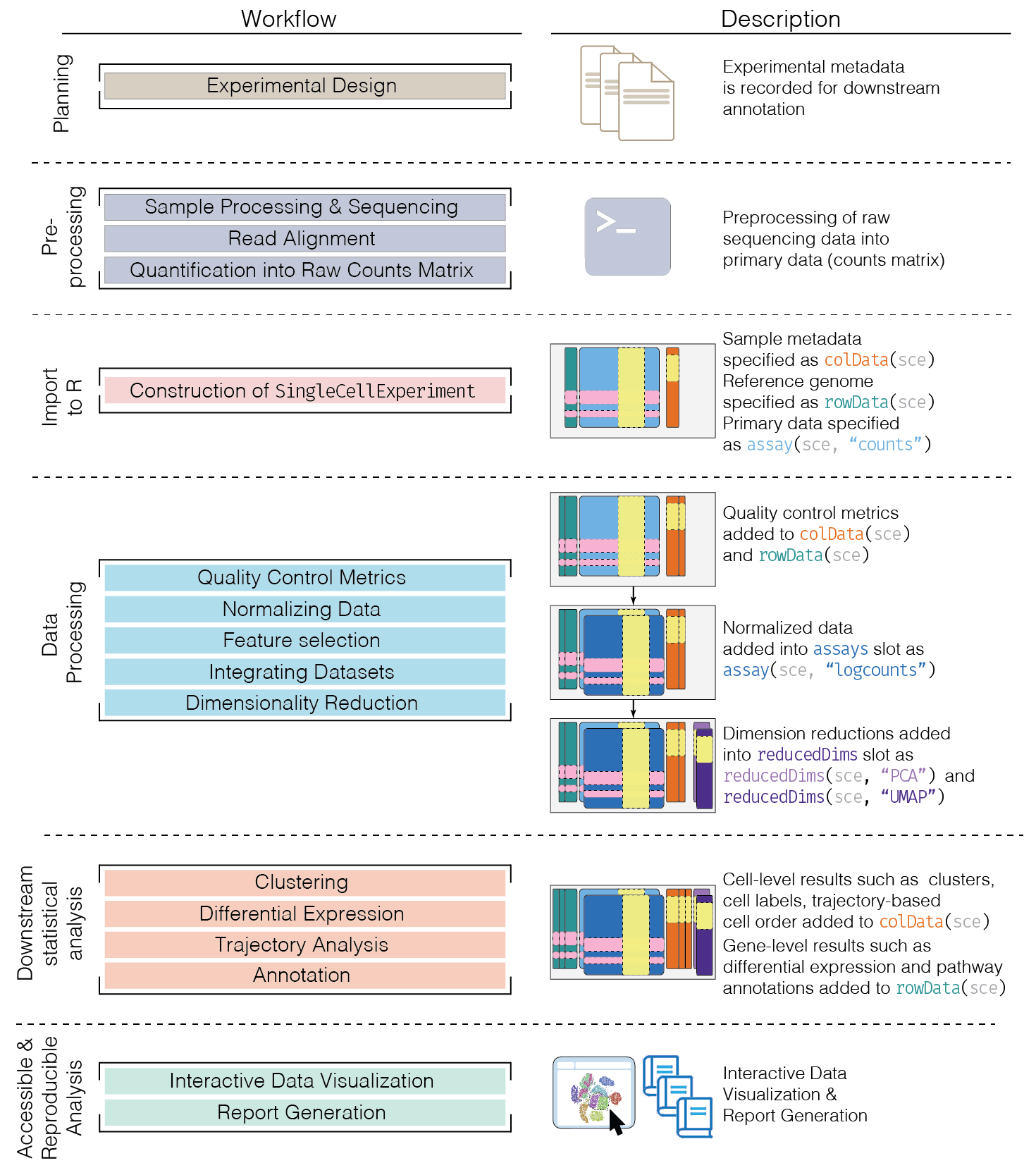 Single-cell workflow