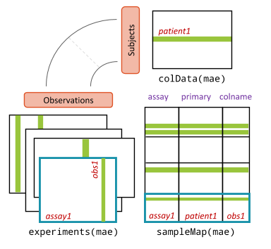 MultiAssayExperiment object schematic shows the design of the infrastructure class. The colData provides data about the patients, cell lines, or other biological units, with one row per unit and one column per variable. The experiments are a list of assay datasets of arbitrary class, with one column per observation. The sampleMap links a single table of patient data (colData) to a list of experiments via a simple but powerful table of experiment:patient edges (relationships), that can be created automatically in simple cases or in a spreadsheet if assay-specific sample identifiers are used. sampleMap relates each column (observation) in the assays (experiments) to exactly one row (biological unit) in colData; however, one row of colData may map to zero, one, or more columns per assay, allowing for missing and replicate assays. Green stripes indicate a mapping of one subject to multiple observations across experiments.