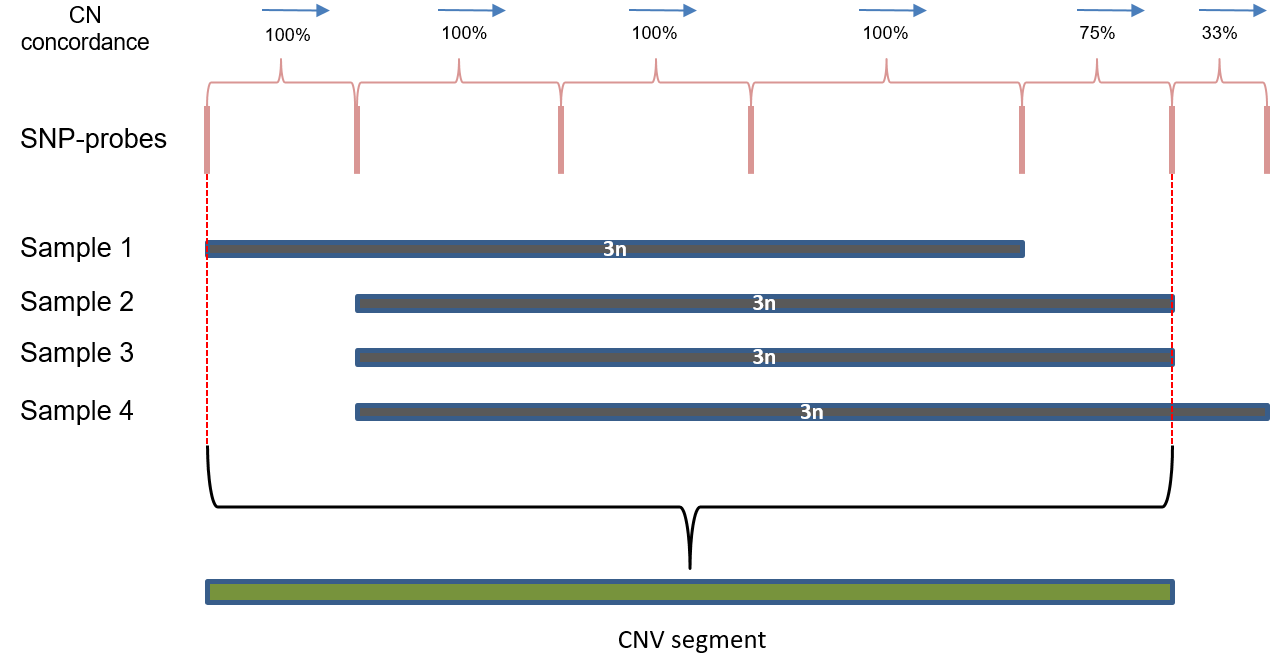Definition of CNV segments. The figure shows construction of a CNV segment from 4 individual CNV calls in a CNV region based on pairwise copy number concordance between adjacent probes.