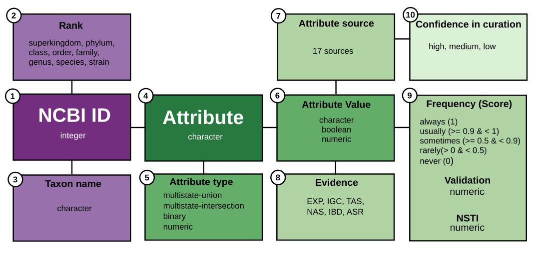 Data schema