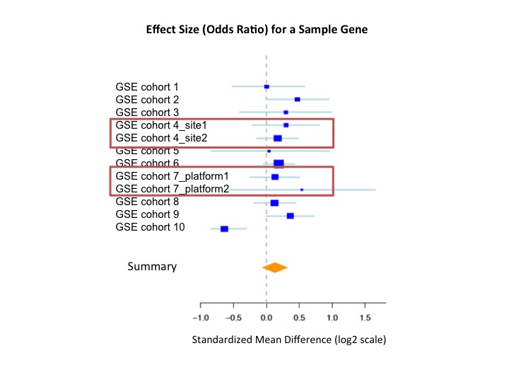 Effect sizes of a selected gene showing how different sites (batches) from the same study can have different end effect size results (with survival as the meta-analysis outcome variable.)